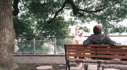 汪汪GO·漫步錢湖 | 尋陶公街市，覽山色湖光