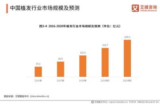 植發行業市場規模將達162.7億，應對脫發產品展現商業潛能