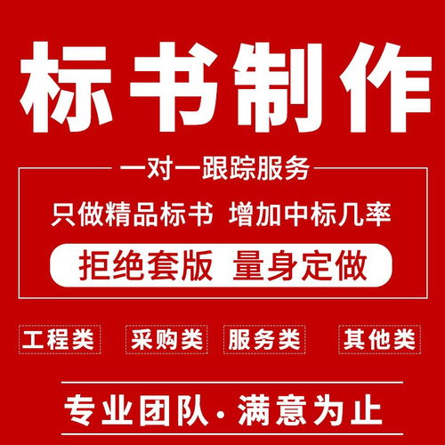 解密大連電子標書與商務咨詢 打開.dlzf文件及選擇代做公司全攻略